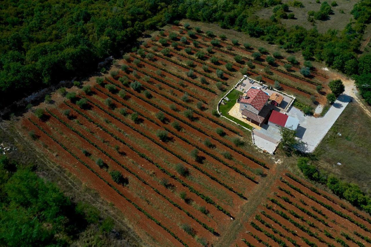 StifanićiRelax House Surrounded By Olives And Vineyard别墅 外观 照片